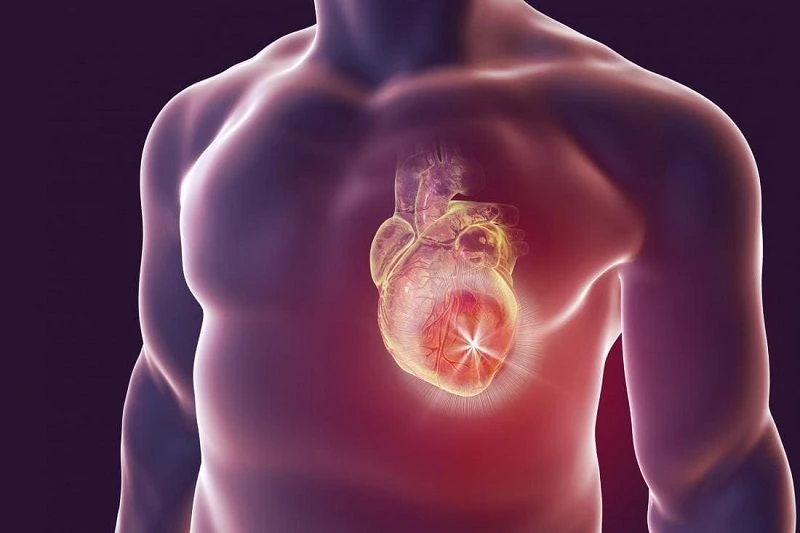 آناتومی نارسایی احتقانی قلب